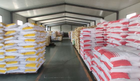 Poudre de crème glacée douce de 25 kg Type de stockage à froid pour les entreprises
