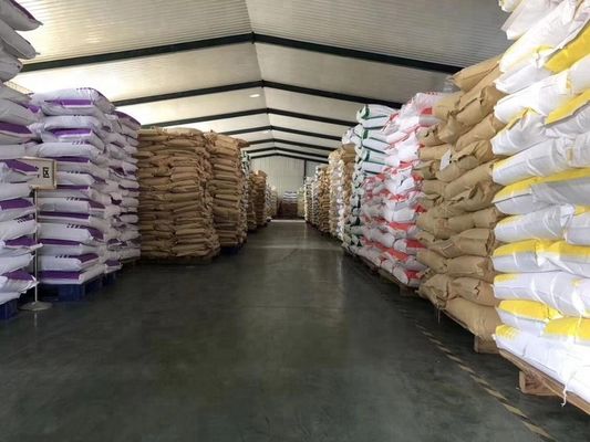 50% de teneur en matières grasses Crème à thé au lait non laitier K50 Option à haute teneur en protéines