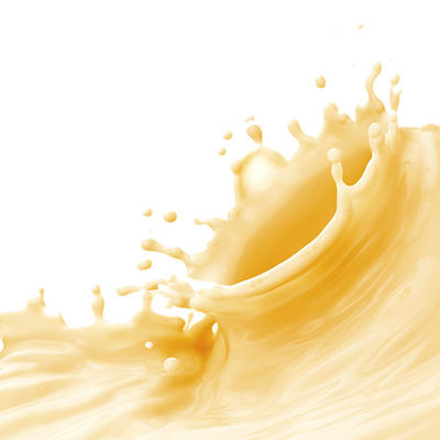 Produit frais et rafraîchissant en poudre de lait instantané 25 g 26% de gras pour une énergie instantanée